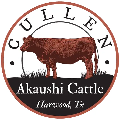 Cullen Akaushi Cattle